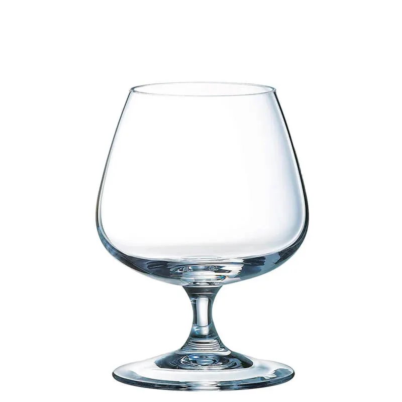 25 cl - Arcoroc Degustation Calice Snifter in Vetro - Set 6 Pezzi Soddisfatti O Rimborsati
