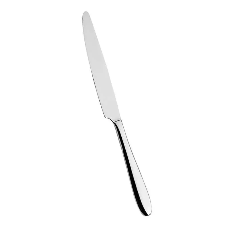 Abert Relais Coltello Tavola In Acciaio Inox - Set 12 Pz Pagamento Sicuro