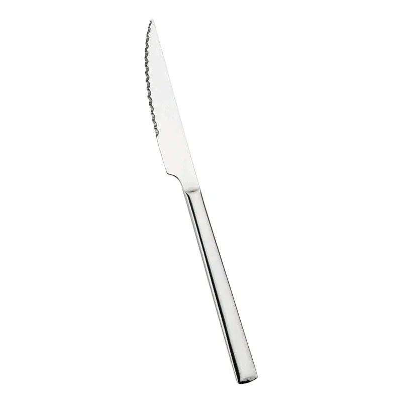 Pintinox Synthesis Coltello Bistecca In Acciaio Inox - Set 12 Pz Promo Stagionale