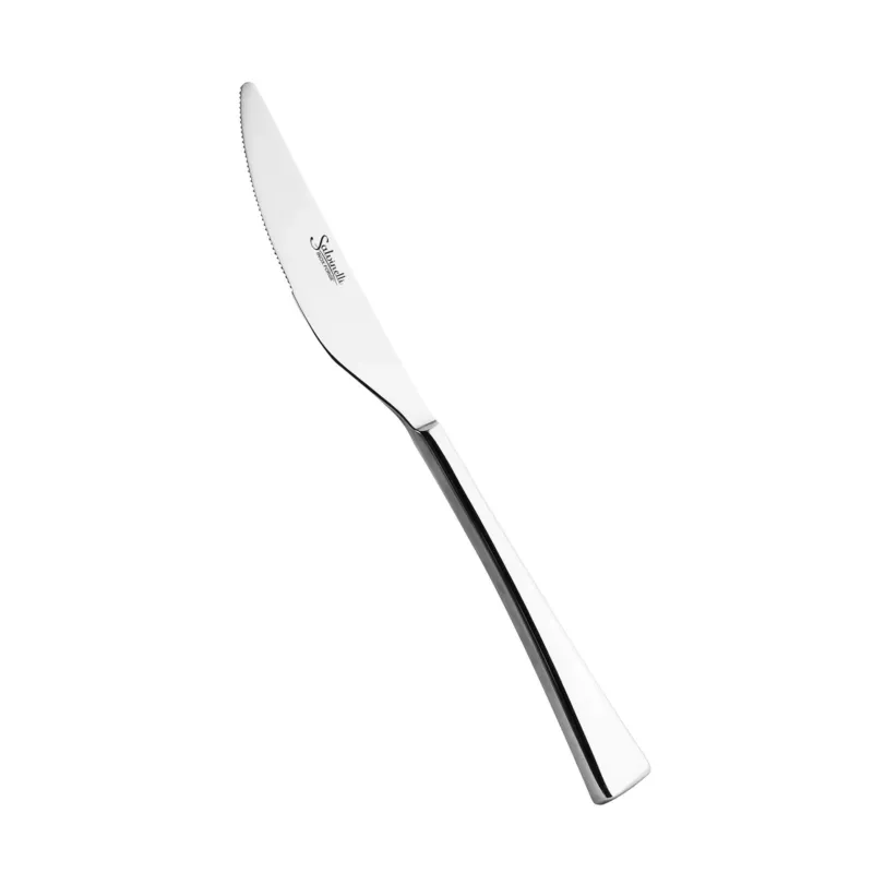 Affare Salvinelli Oceania Coltello Tavola In Acciaio Inox - Set 12 Pz