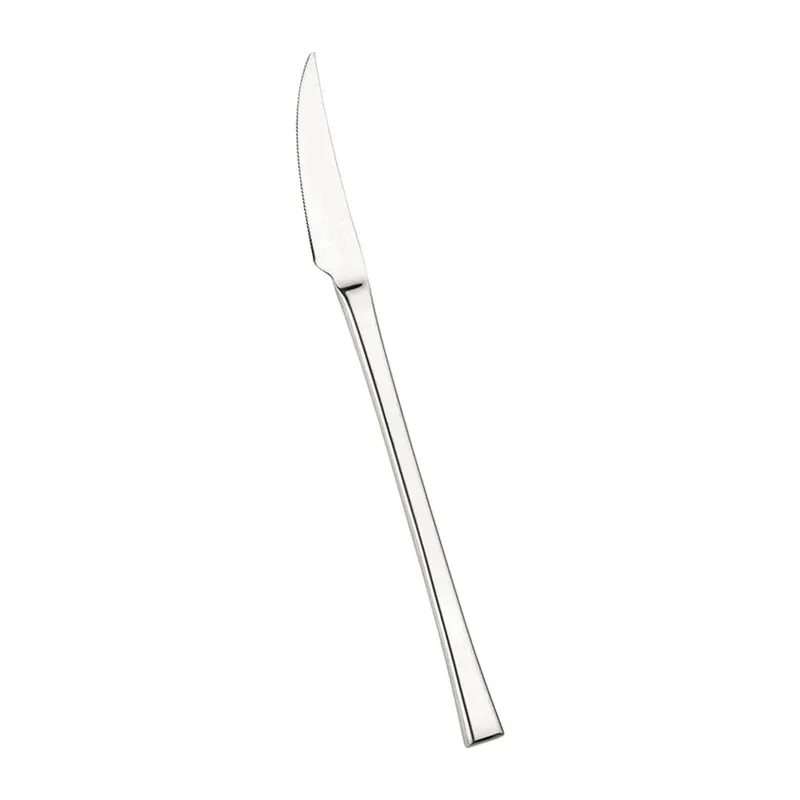 Più Venduto Pintinox Concept Coltello Frutta In Acciaio Inox - Set 12 Pz