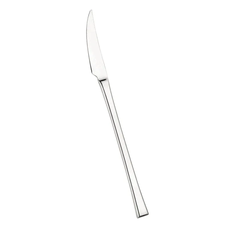 Pintinox Concept Coltello Tavola In Acciaio Inox - Set 12 Pz Promo Stagionale