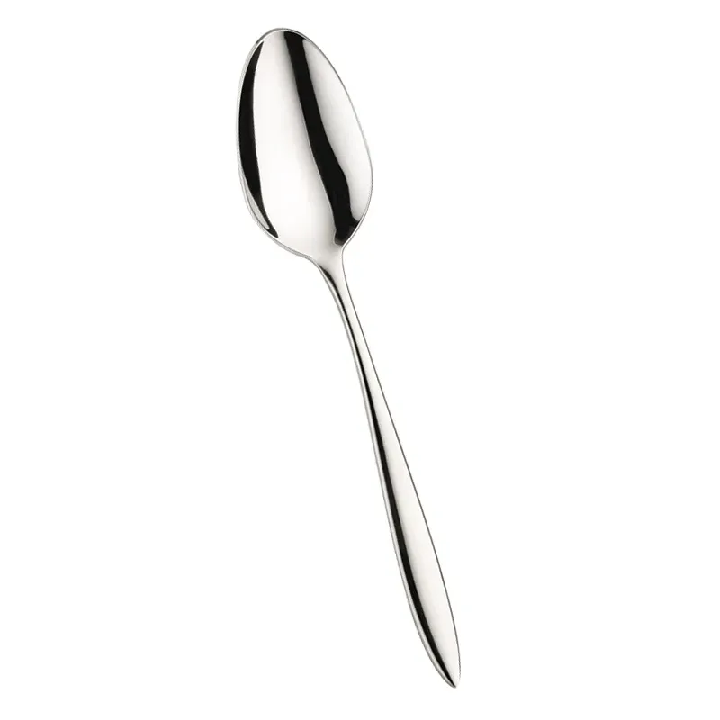 Ultime Pezzi Pintinox Romanino Cucchiaione Servire In Acciaio Inox