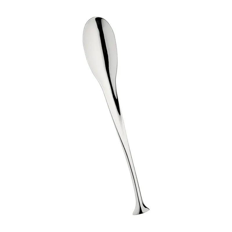 Compra Oggi Stesso Pintinox Dolphin Cucchiaio Tavola In Acciaio Inox - Set 12 Pz