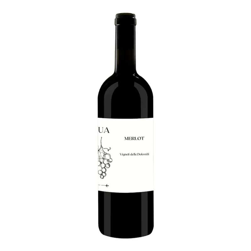Merlot Vigneti Delle Dolomiti IGT 2023 - L‘Ua Occasione Imperdibile
