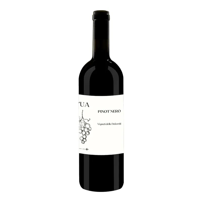 Pinot Nero Vigneti Delle Dolomiti IGT 2023 - L‘Ua Occasione