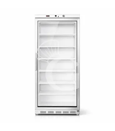 Non Perdere Armadio Refrigerato Statico porta in vetro -18°C/-22°C 555 LT