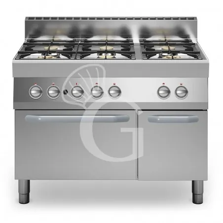 Offerta Del Giorno Cucina professionale a gas 6 fuochi forno elettrico a convezione armadio neutro profondità 700 mm