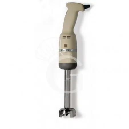 Esclusivo Mixer ad immersione con mescolatore 200mm, 1 velocità 15000 rpm, 0,25 KW