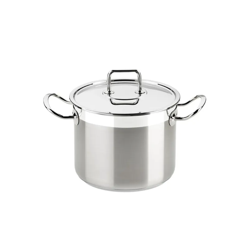 Novità PROFESSIONAL PENTOLA CM 30 CON COPERCHIO INOX