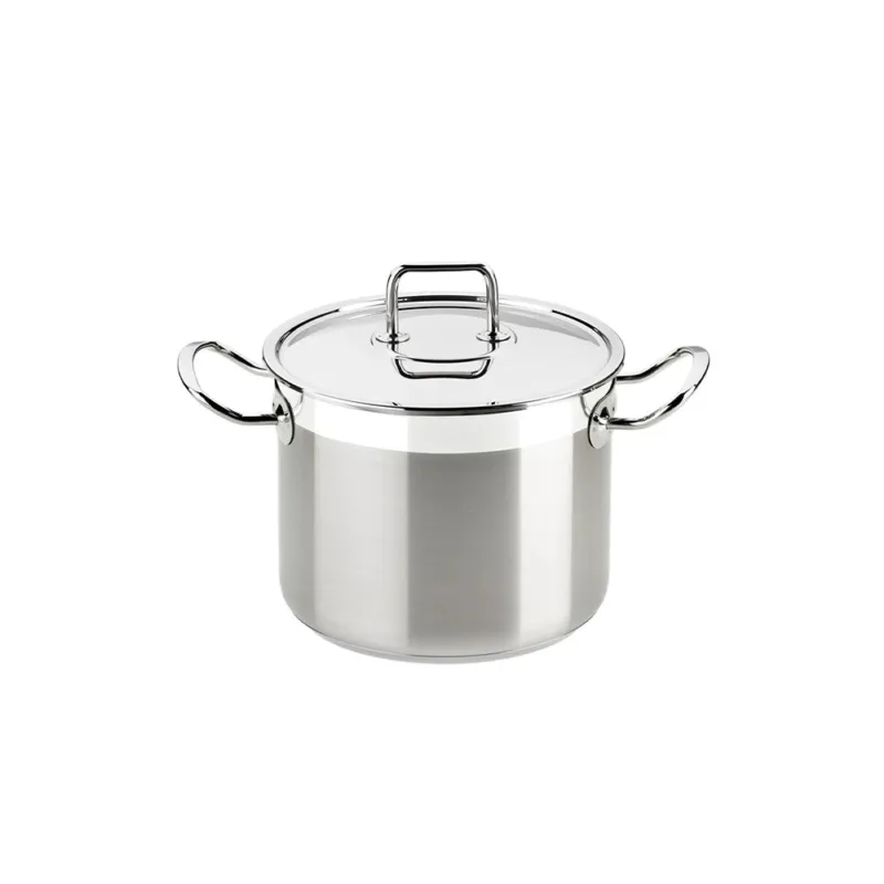 Pagamento Sicuro PROFESSIONAL PENTOLA CM 26 CON COPERCHIO INOX