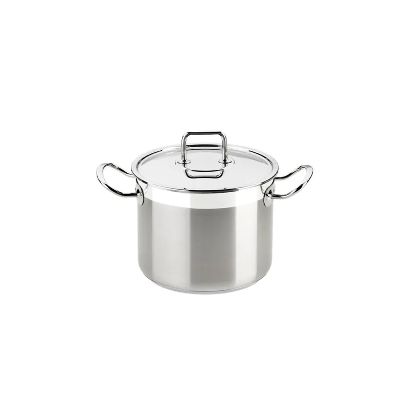 PROFESSIONAL PENTOLA CM 22 CON COPERCHIO INOX Subito Disponibile