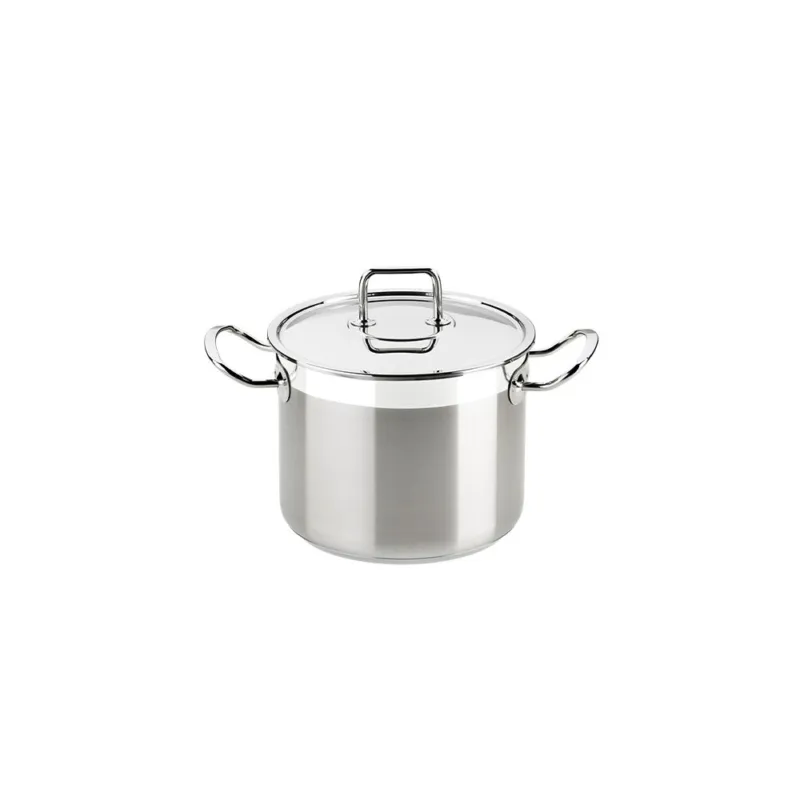 PROFESSIONAL PENTOLA CM 20 CON COPERCHIO INOX Consegna Rapida