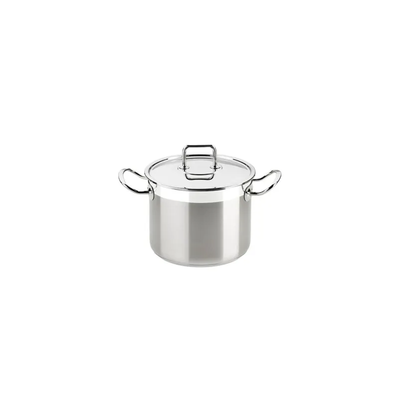 PROFESSIONAL PENTOLA CM 16 CON COPERCHIO INOX Acquista Ora