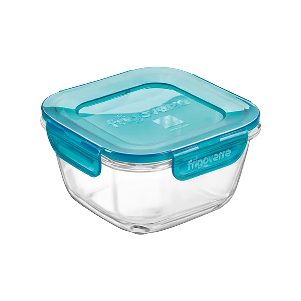 Non Perdere FRIGOVERRE EVOLUTION QUADRO 12 CM