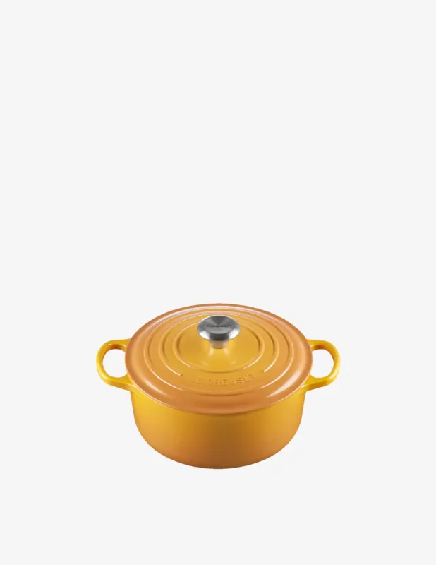Le Creuset Cocotte rotonda Evolution 24cm Professionale