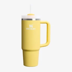 Prezzo Scontato Stanley 1913 The Quencher H2.0 Flowstate Tumbler 0.89L