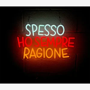 Insulti Luminosi Spesso Ho Sempre Ragione Led Luminoso Direttamente Dal Produttore
