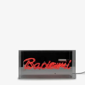 Locomocean Acrylic Box Neon Baciami Compra Adesso