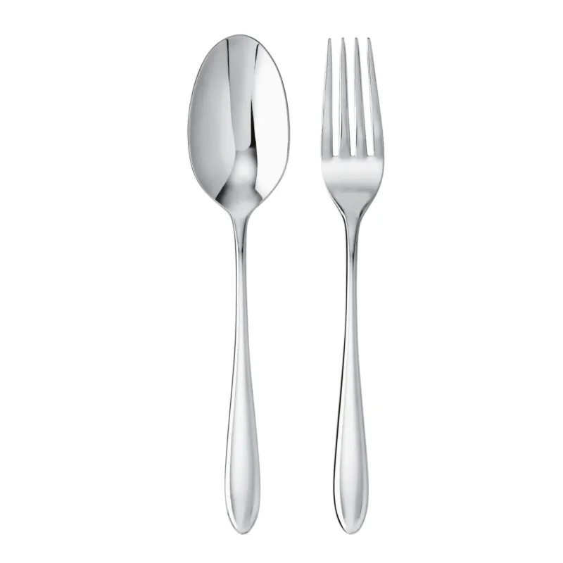Professionale Dream Set 2 posate servire