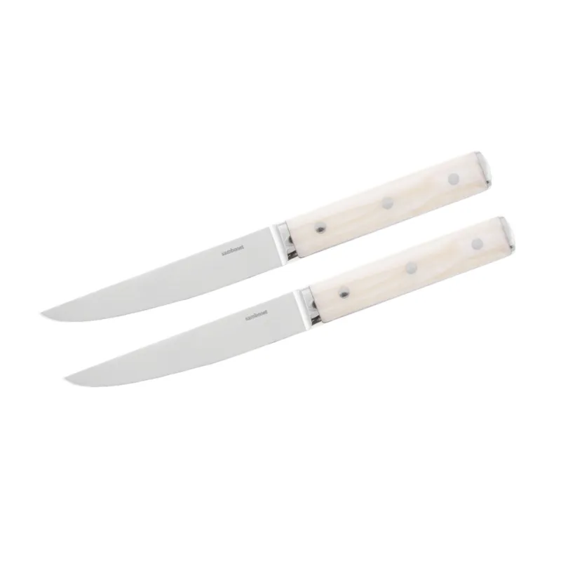 Spedito Oggi Sirloin Set 2 coltelli bistecca