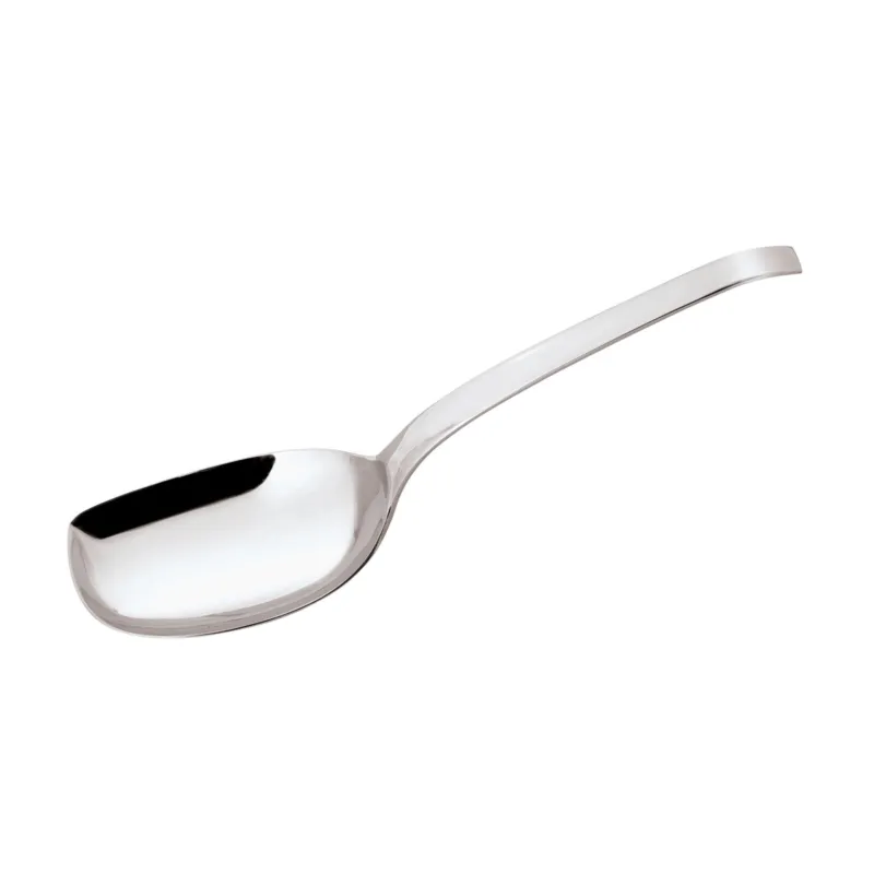Promozione Living Cucchiaio risotto