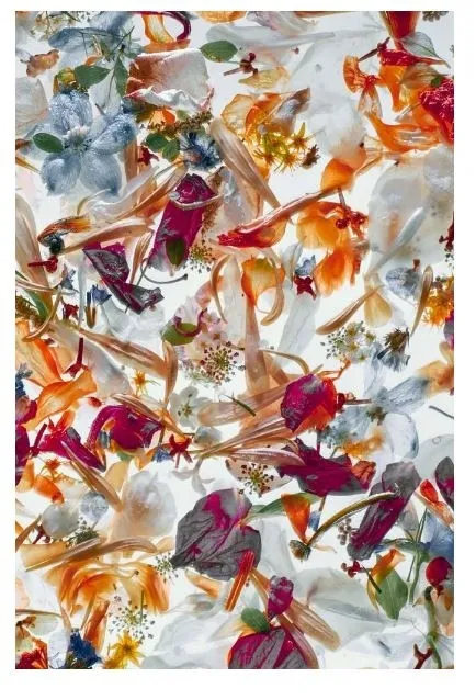 Popolare Momenti - Italian Custom Design - Quadro In PMMA 100x150 - ED 018