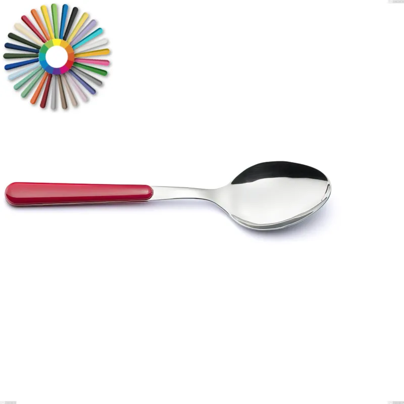 Cucchiaio da servizio Brio, Acciaio inox 18.c (AISI 430), manici in abs Dimensioni lunghezza 22,5 cm Eme Posaterie rosa 66 Offerta Lampo