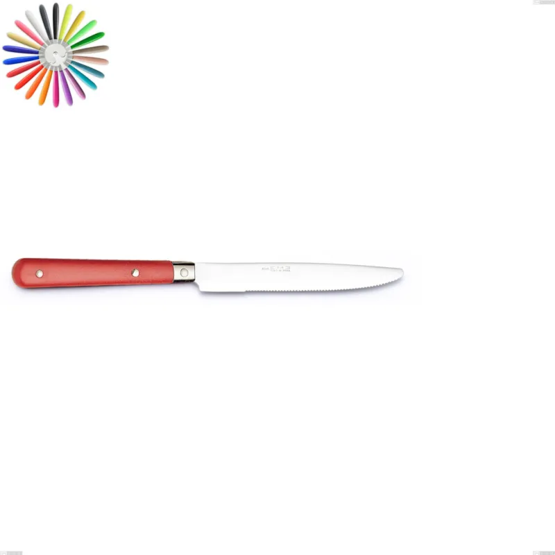 Coltello frutta country, acciaio 18/10 aisi 304 manici in abs Eme Posaterie blu 2 Reso Gratuito