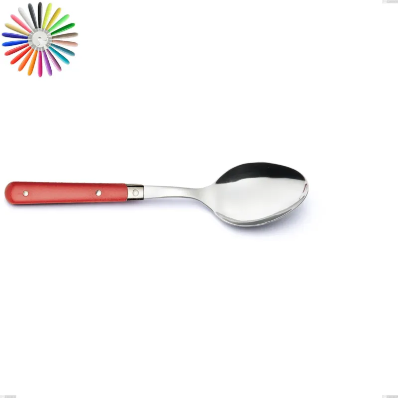 Offerta Lampo Cucchiaio da servizio country, acciaio 18/10 aisi 304 manici in abs Eme Posaterie blu 2