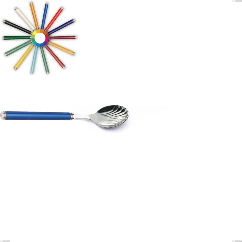 Cucchiaino formaggio linea, Acciaio 18/10 (AISI304) inox lucido , manici in metacrilato 148 mm Eme Posaterie nero 1 Offerta Speciale