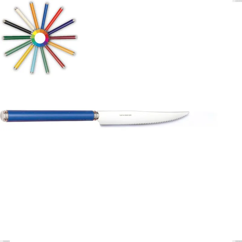 Coltello bistecca linea, Acciaio 18/10 (AISI304) inox lucido , manici in metacrilato lunghezza 227 mm Eme Posaterie nero 1 Novità
