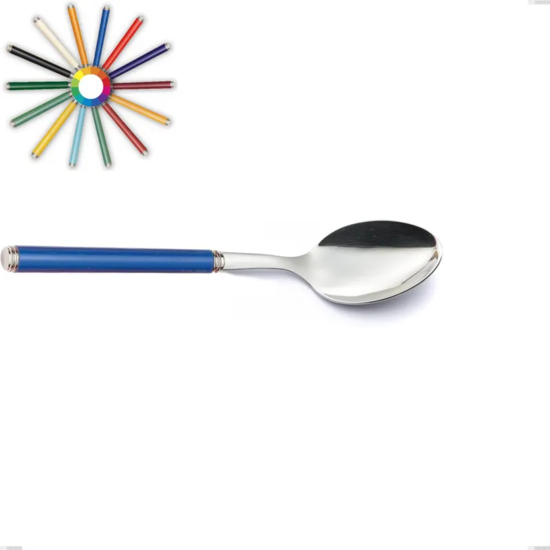 Cucchiaio da servizio linea, Acciaio 18/10 (AISI304) inox lucido , manici in metacrilato lunghezza 238 mm Eme Posaterie nero 1 Compra Oggi Stesso