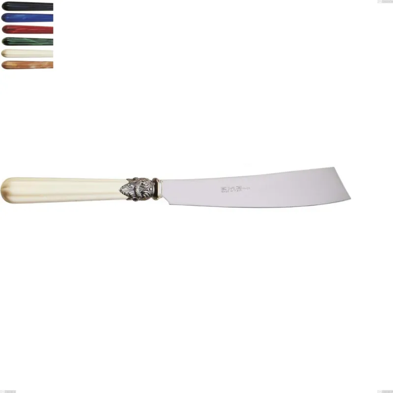 Offerta Lampo Coltello torta versailles, Acciaio 18/10 AISI 304 Lucido manicatura acrilico , lunghezza 231 mm Eme Posaterie blu 2