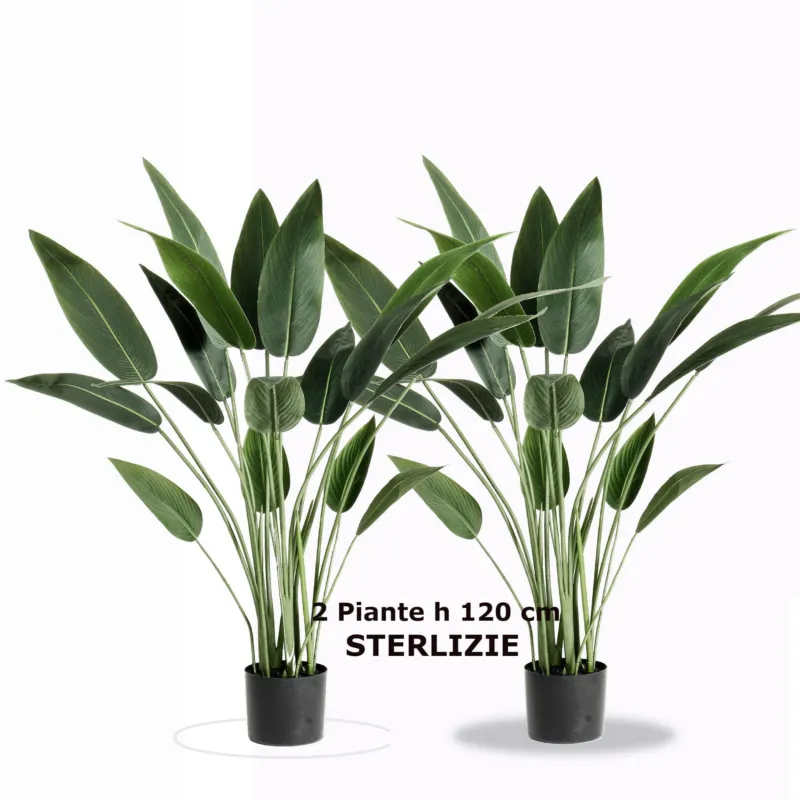 Nuova Collezione SET di due Piante STERLIZIA con Vaso h 120 fiori e foglie Verdi tronco in Legno materiale sintetico effetto Realistico Fantin Argenti
