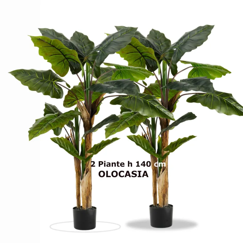 Promo Stagionale SET di due Piante OLOCASIA con Vaso h 140 fiori e foglie Verdi tronco in Legno materiale sintetico effetto Realistico Fantin Argenti