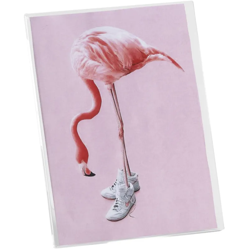 Popolare photo frame medium eco trasparente incolore, dimensioni 20x9,5xH13,5 cm, peso 0,215 kg, spessore 5 mm Vesta
