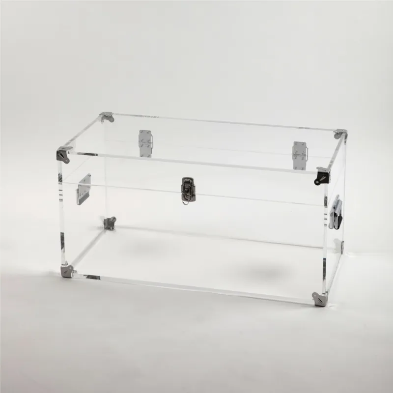 Ultime Pezzi Baule in Cristallo acrilico con finiture e cerniere in acciaio cromato Houdini 80x40x 40 h cm Spessore 10 mm Vesta