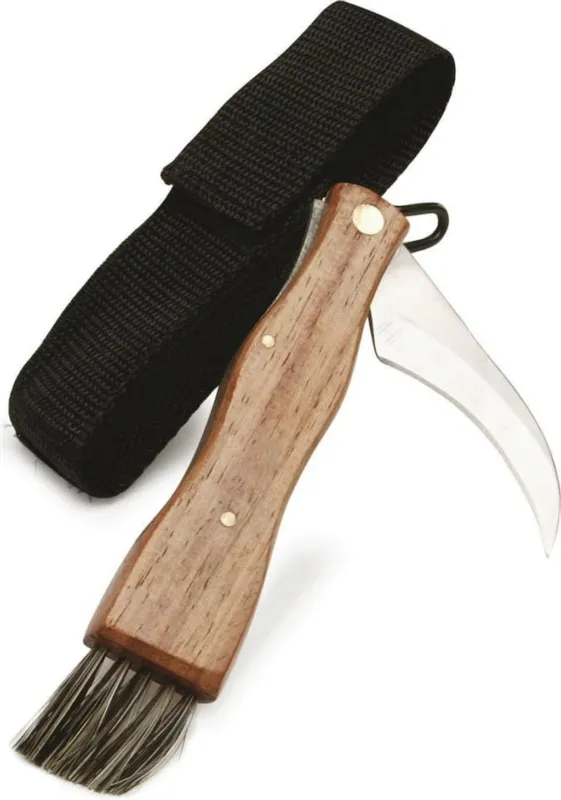 Adventure - Coltello da Funghi Popolare