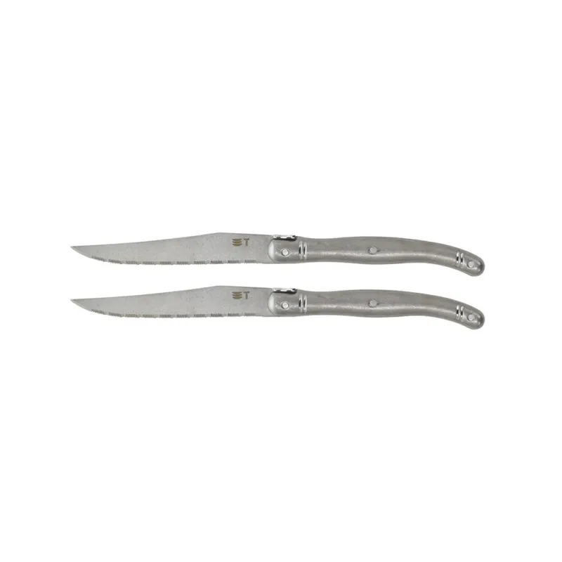 Set 2 Coltello Bistecca Steel Acciaio inossidabile Grigio Spedito Oggi