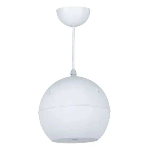 Ultima Occasione Altoparlante Diffusore Suono Pendente da Soffitto Cassa 10W Filodiffusione