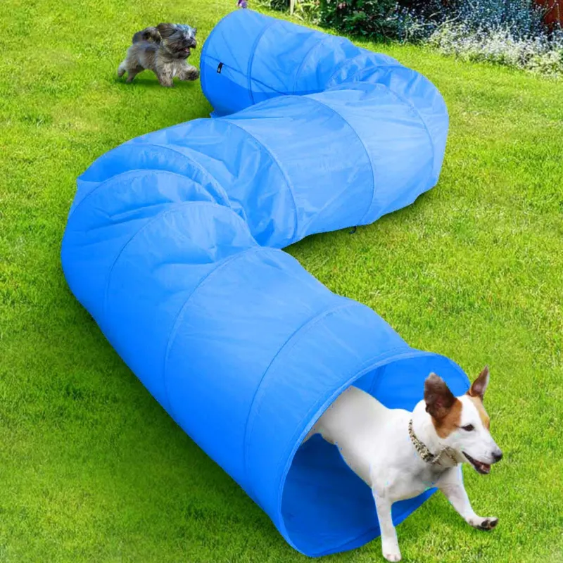 Soddisfatti O Rimborsati Tunnel Gioco Addestramento Cani Gatti Animali 200x48cm Tessuto Azzurro con Borsa