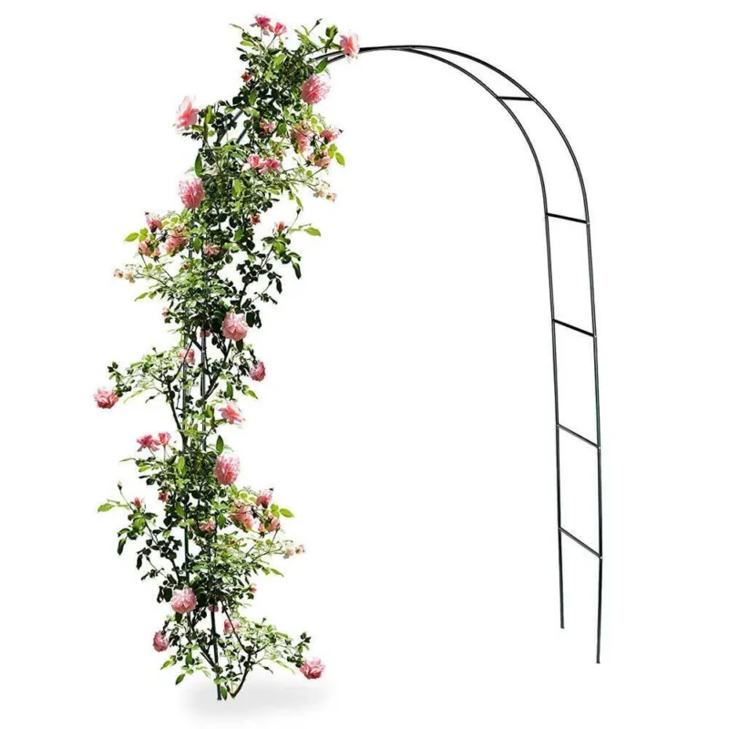 Miglior Prezzo Arco da Giardino Supporto per Rose Piante Rampicanti in Metallo Altezza 240 cm