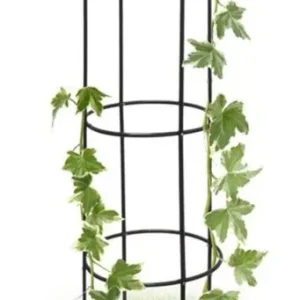 Economico Supporto per Piante Rampicanti Obelisco Piramide da Giardino Altezza 185cm Verde