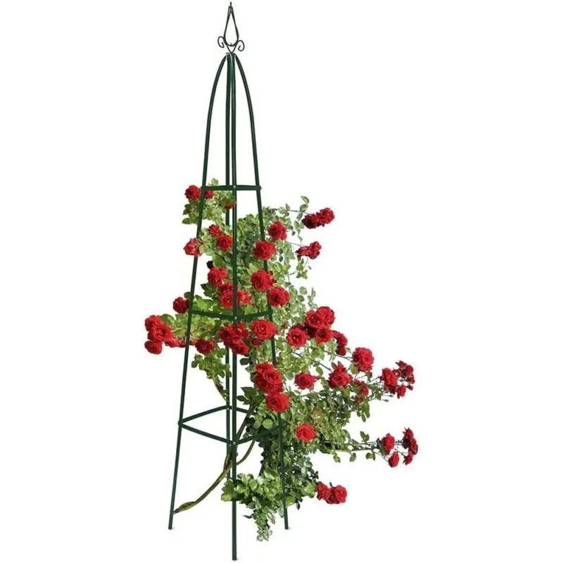 Supporto per Piante Rampicanti Obelisco Arco da Decorazione Giardino Torre H 2Mt Solo Oggi