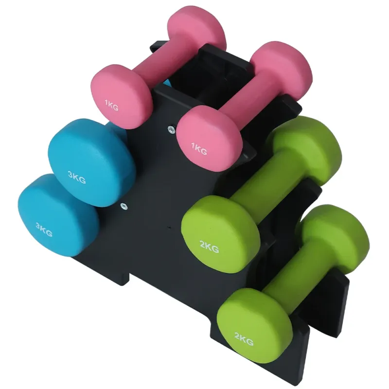 Set 6 Manubri Palestra con Stand Appoggio 2x1kg+2x2kg+2x3kg Pesi Sport Fitness Spedizione Espresso