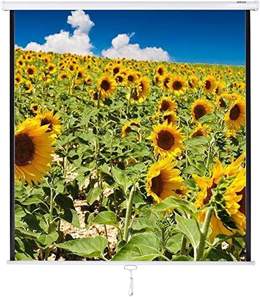 Schermo per Videoproiettore Proiezione 113" Home Cinema Telo Proiettore 203 x 203 cm FULL HD TV Bestseller