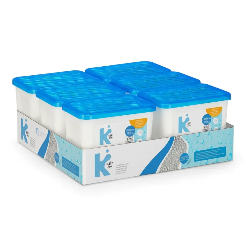 Deumidificatore Casa Portatile 6pz 1000ml contro Muffa Assorbi Umidità Aria pura Più Venduto