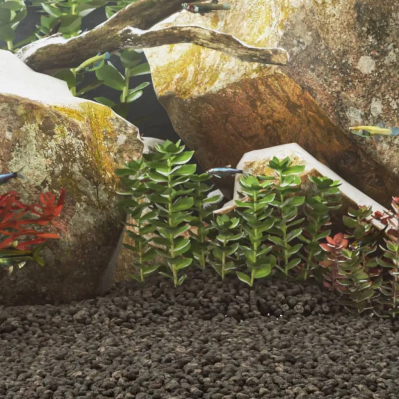 Rocce Vulcaniche Fondo per Acquario Pesci 25 kg Nere 1-2 cm Materiale Naturale Miglior Prezzo