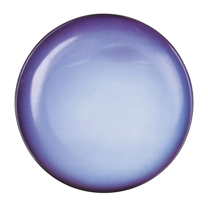 Ultima Occasione Seletti Diesel Living Cosmic Diner Neptune Piatto Nettuno